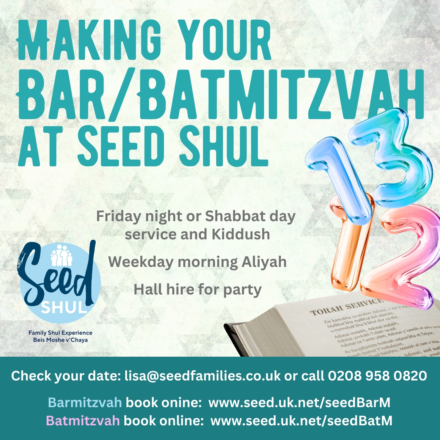 Read more about the article Making your Batmitzvah at Seed Shul