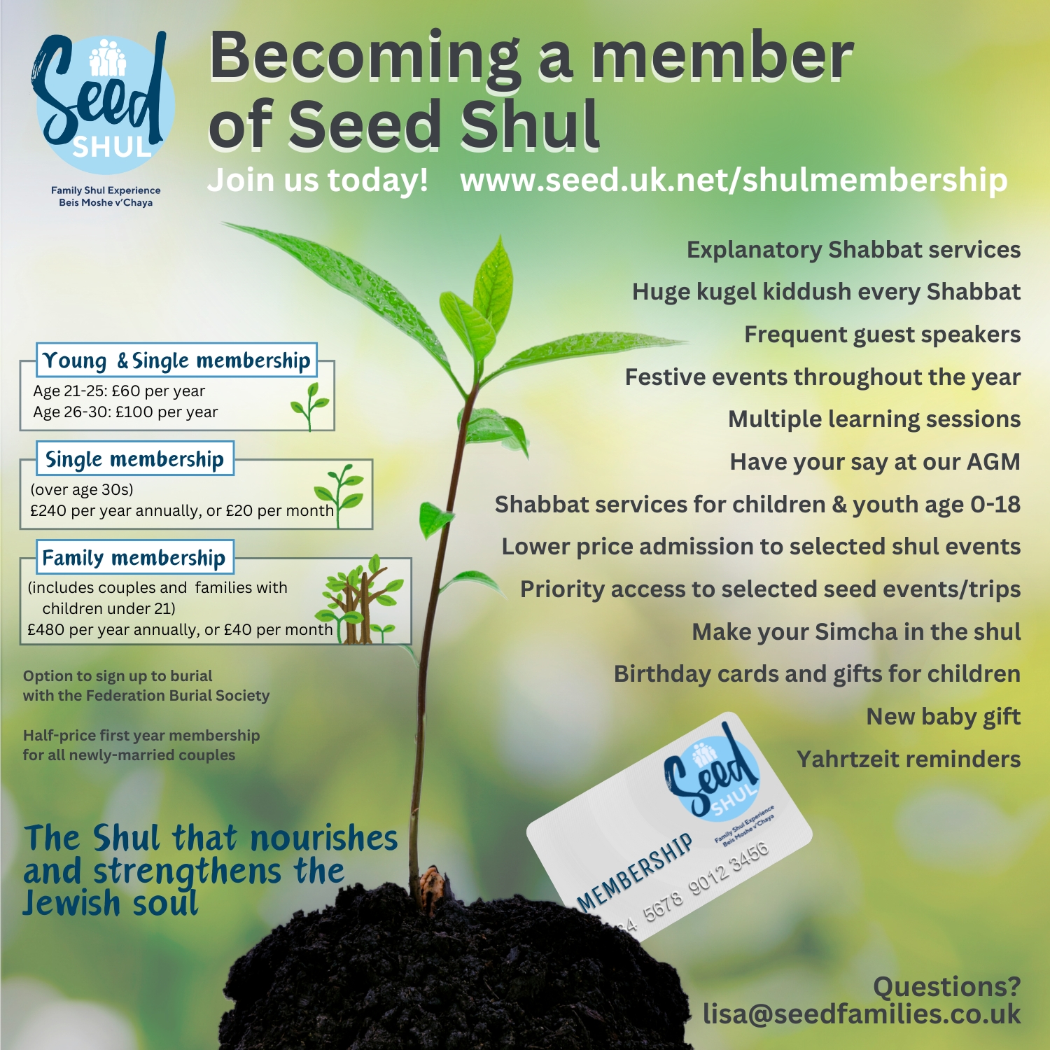 Read more about the article Seed Shul Membership