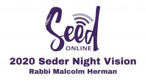 Read more about the article 2020 Seder Night Vision – Rabbi Herman