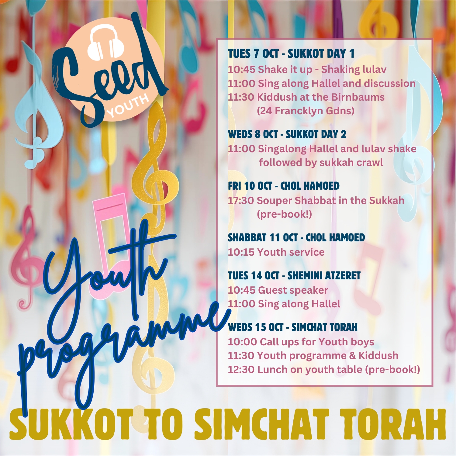 You are currently viewing Youth Sukkot and Simchat Torah at Seed Shul