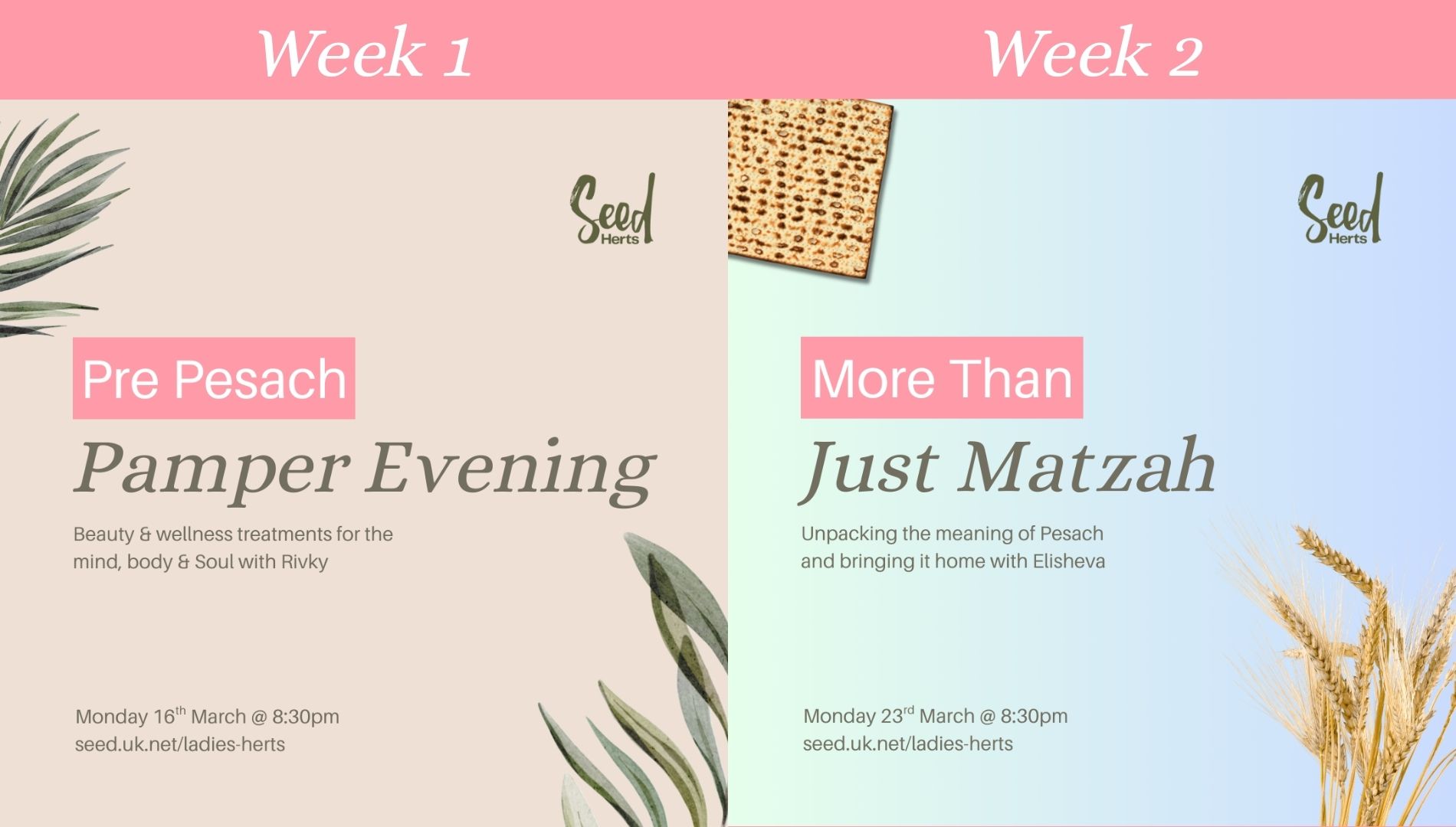 Read more about the article Pre Pesach Ladies Events (Herts) – Monday 16th & 23rd March 2026